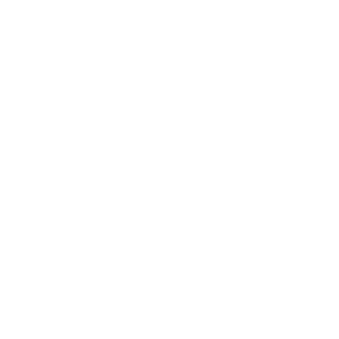 skincare-essentials-logo-icon-white